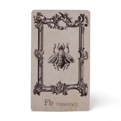 The Spellbook Oracle Cards – Read the Signs