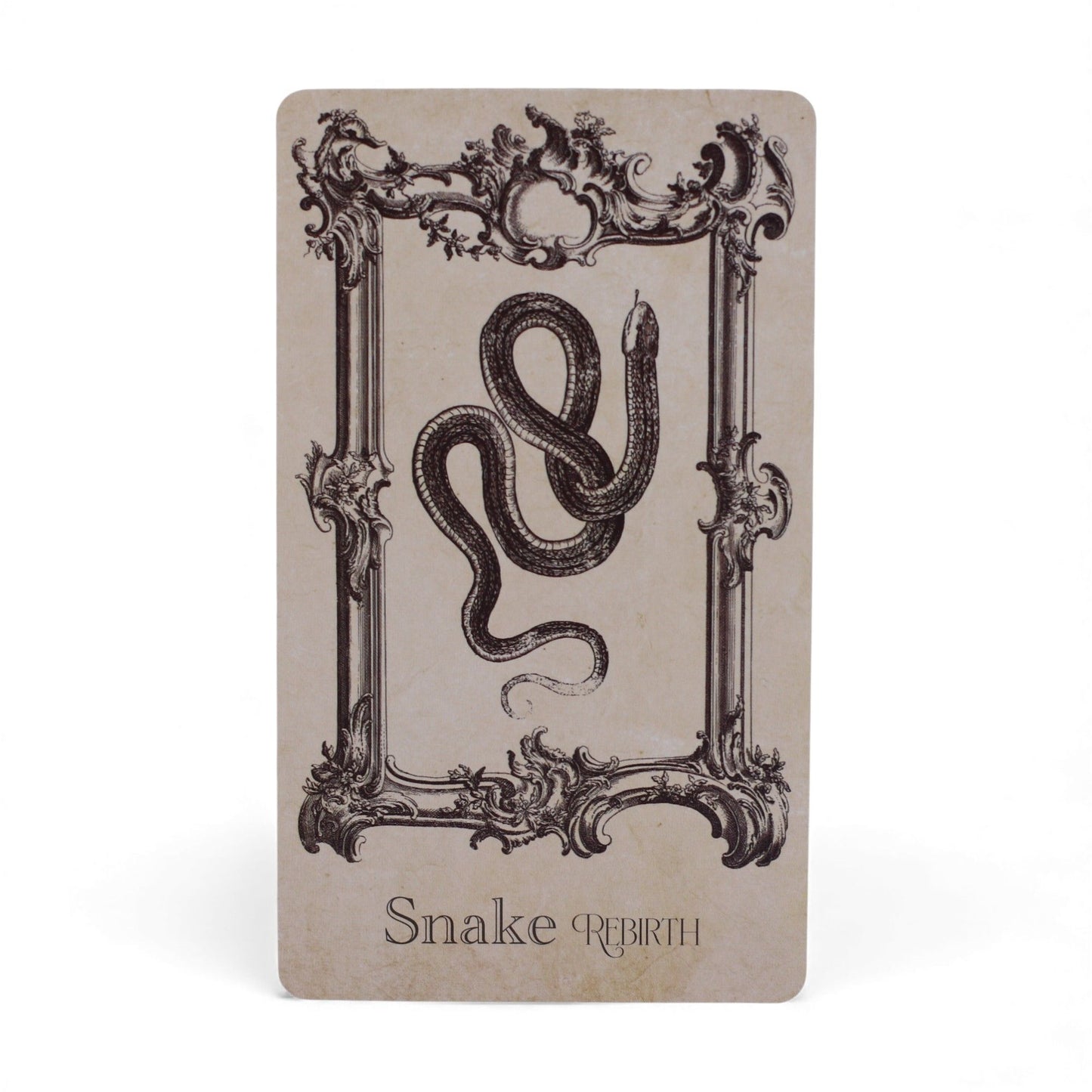 The Spellbook Oracle Cards – Read the Signs