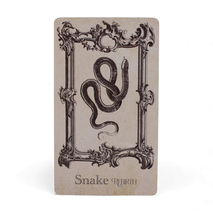 The Spellbook Oracle Cards – Read the Signs