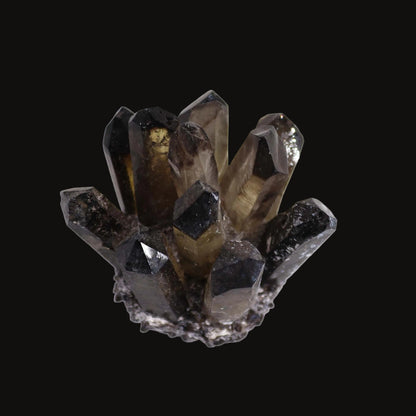 Smoky Ghost Quartz Cluster