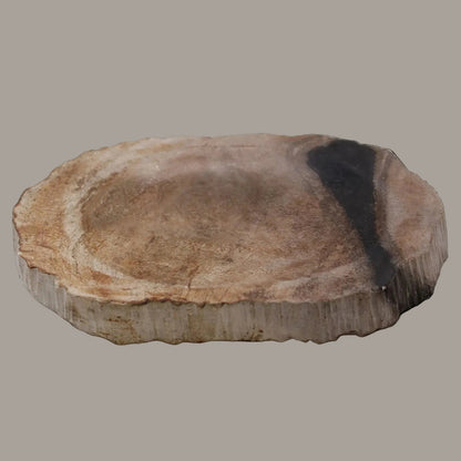 Dark Petrified Wood Soap Dish