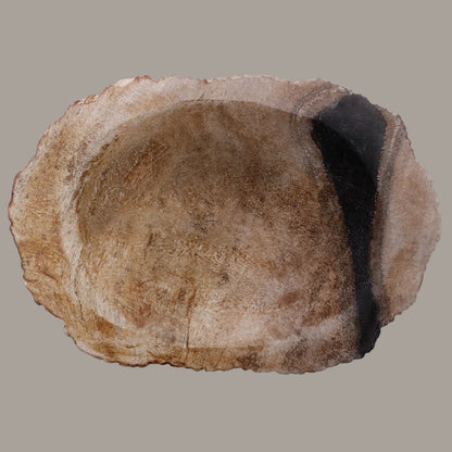 Dark Petrified Wood Soap Dish